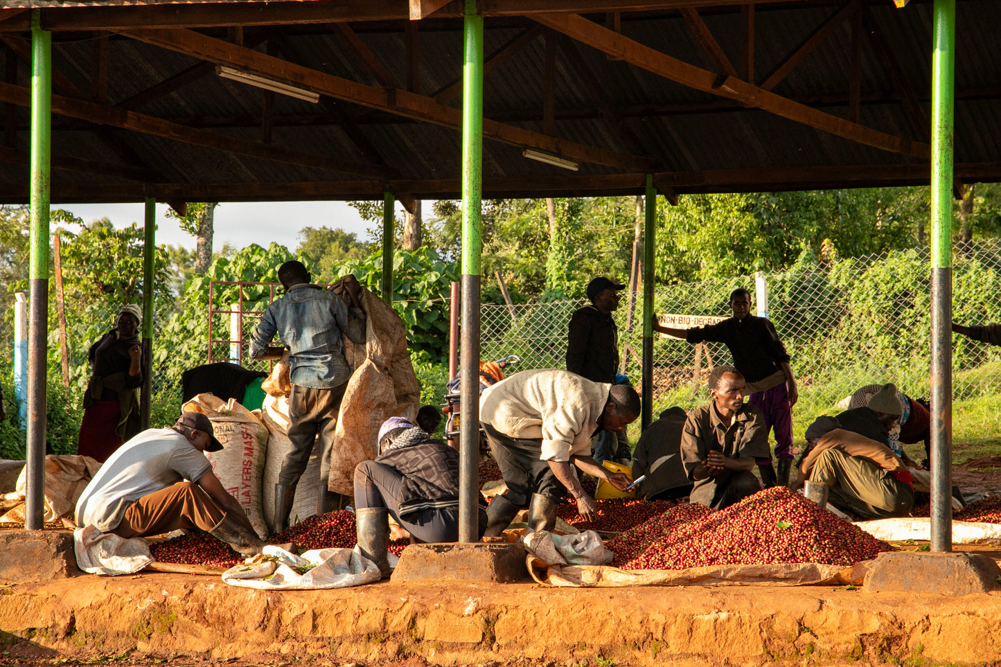 Kenya Kirinyaga Kamwangi