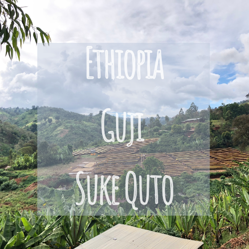 Ethiopia Guji Suke Quto