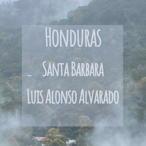 Honduras Santa Barbara Luis Alonso Alvarado
