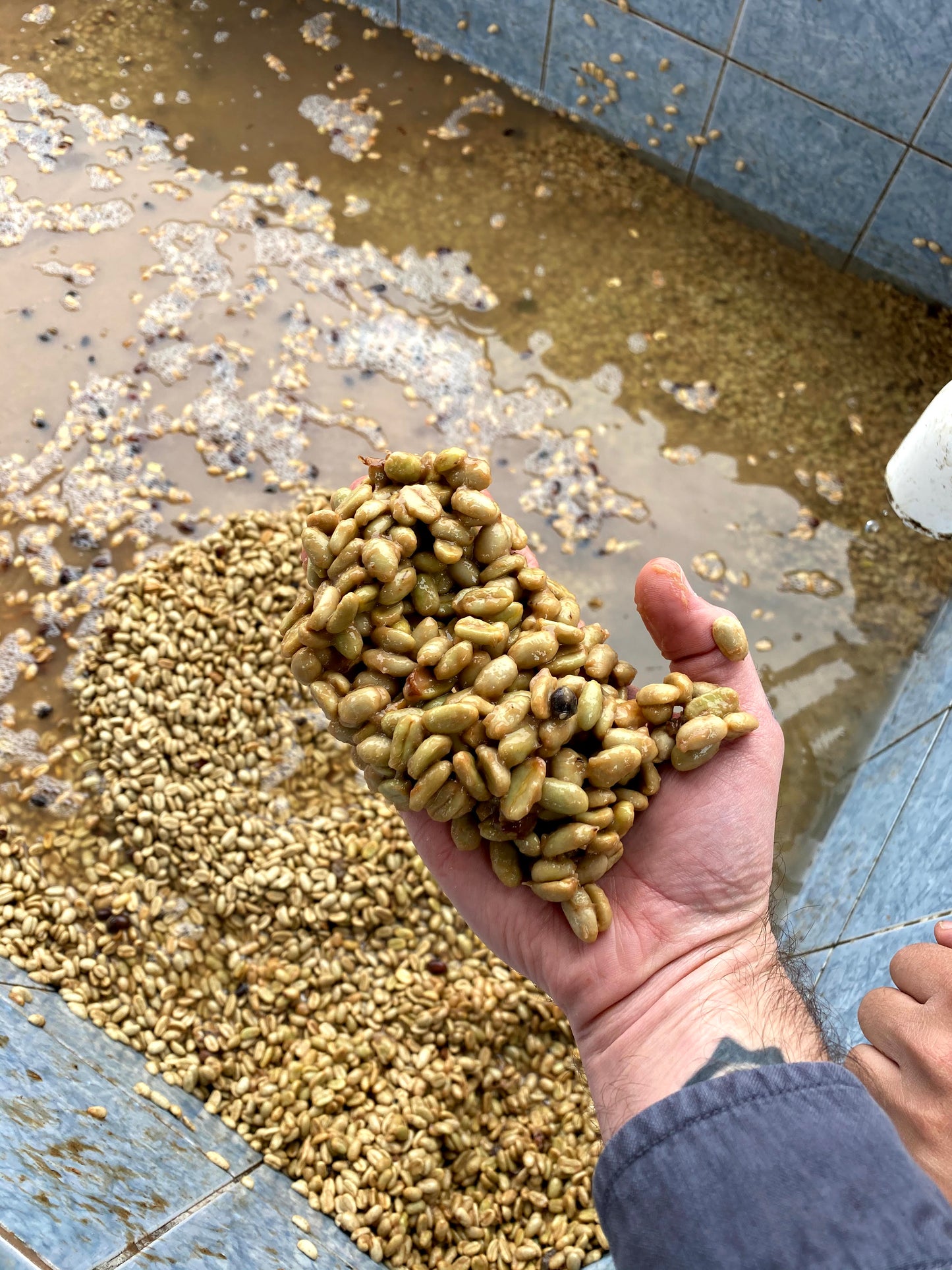 Honduras Santa Barbara Luis Alonso Alvarado