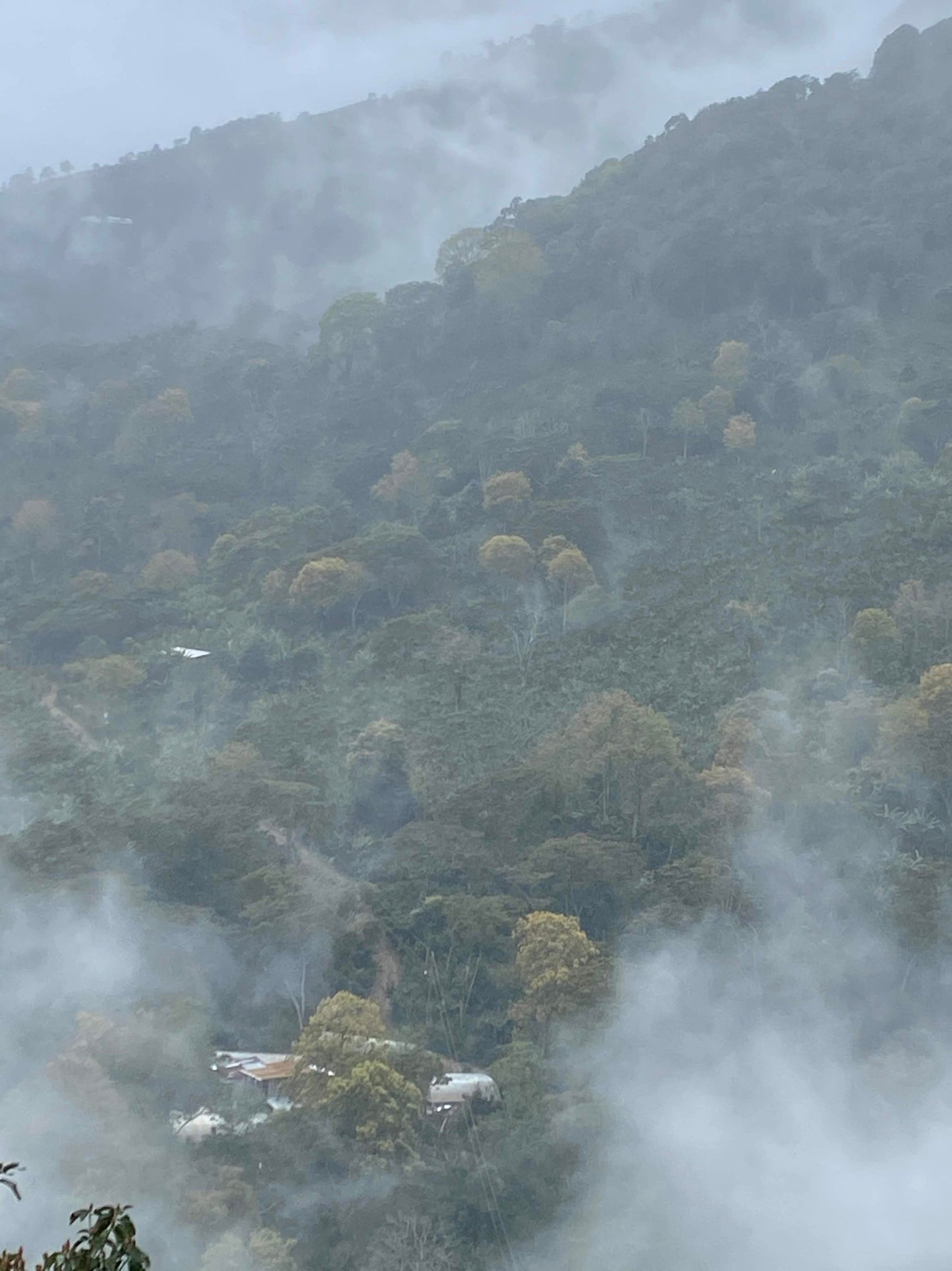 Honduras Santa Barbara Luis Alonso Alvarado