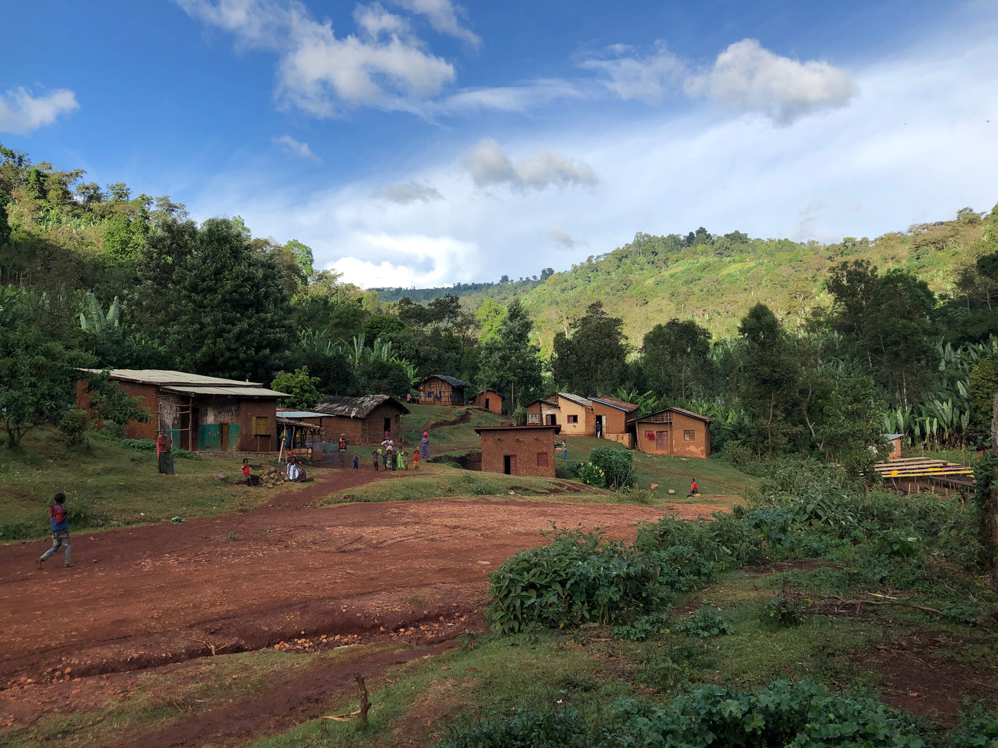 Ethiopia Guji Suke Quto