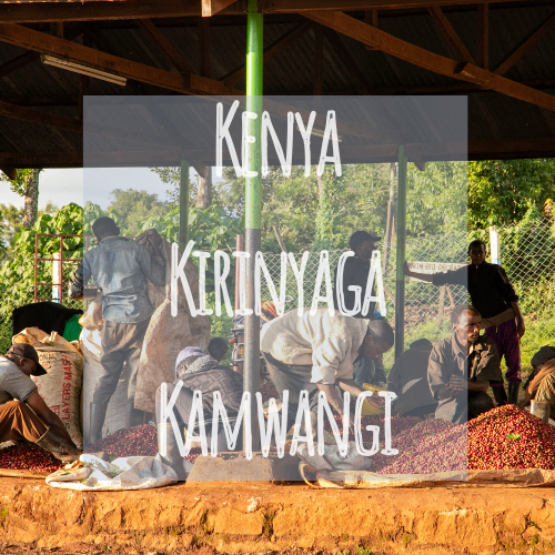 Kenya Kirinyaga Kamwangi